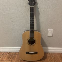 Mitchell Acoustic Guitar