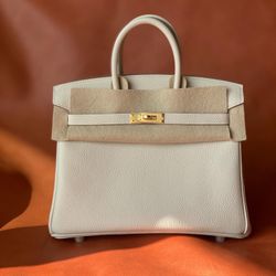 Hermes birkin Platinum Bag 25