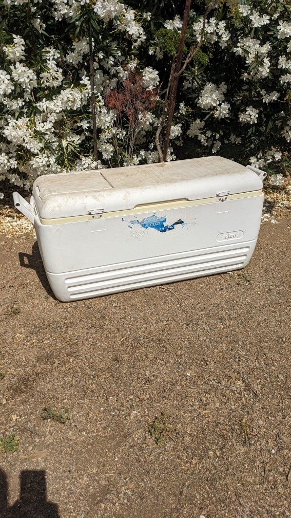 GREAT LARGE IGLOO COOLER!!!! 😀