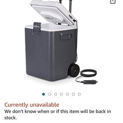 32 Quart Car Electric Cooler And Warmer 