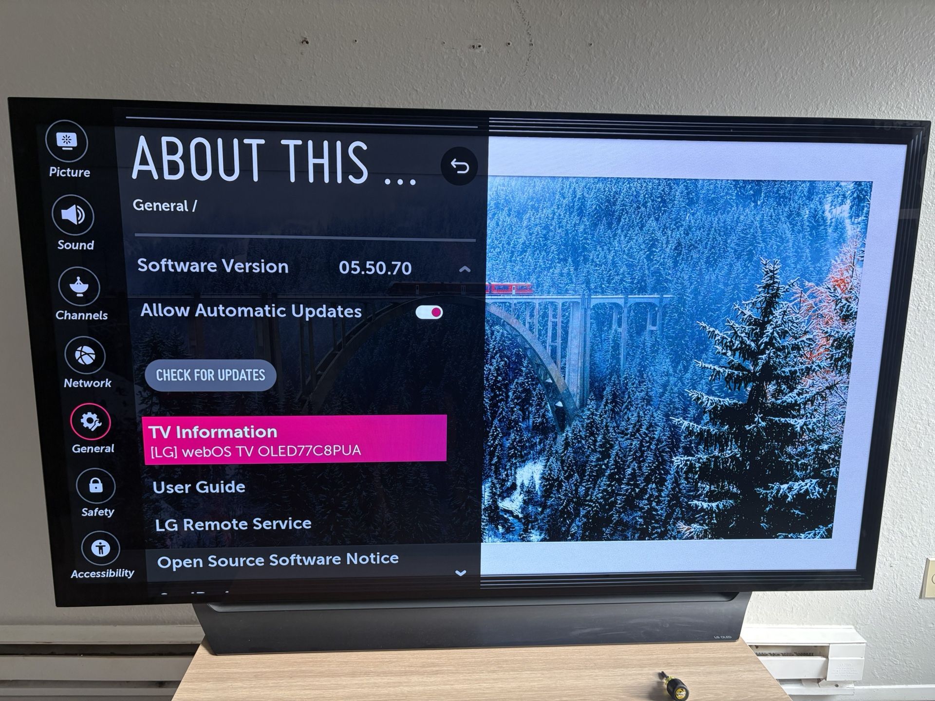 LG OLED 77 Inch