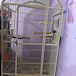Haula Para Pájaros Grande 
