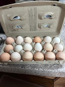 Huevos Frescos