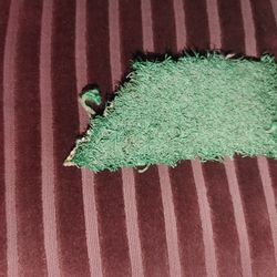 AUTHENTIC THREE RIVERS FIELD ARTIFICIAL TURF RELIC