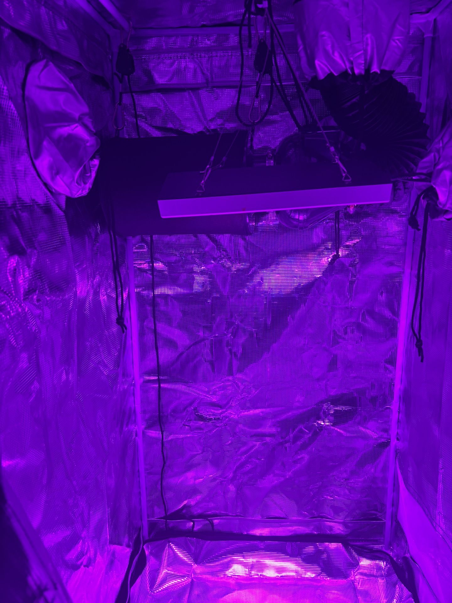 Indoor Grow Tent