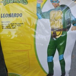 Adults  Teenage Mutant Ninja Turtles