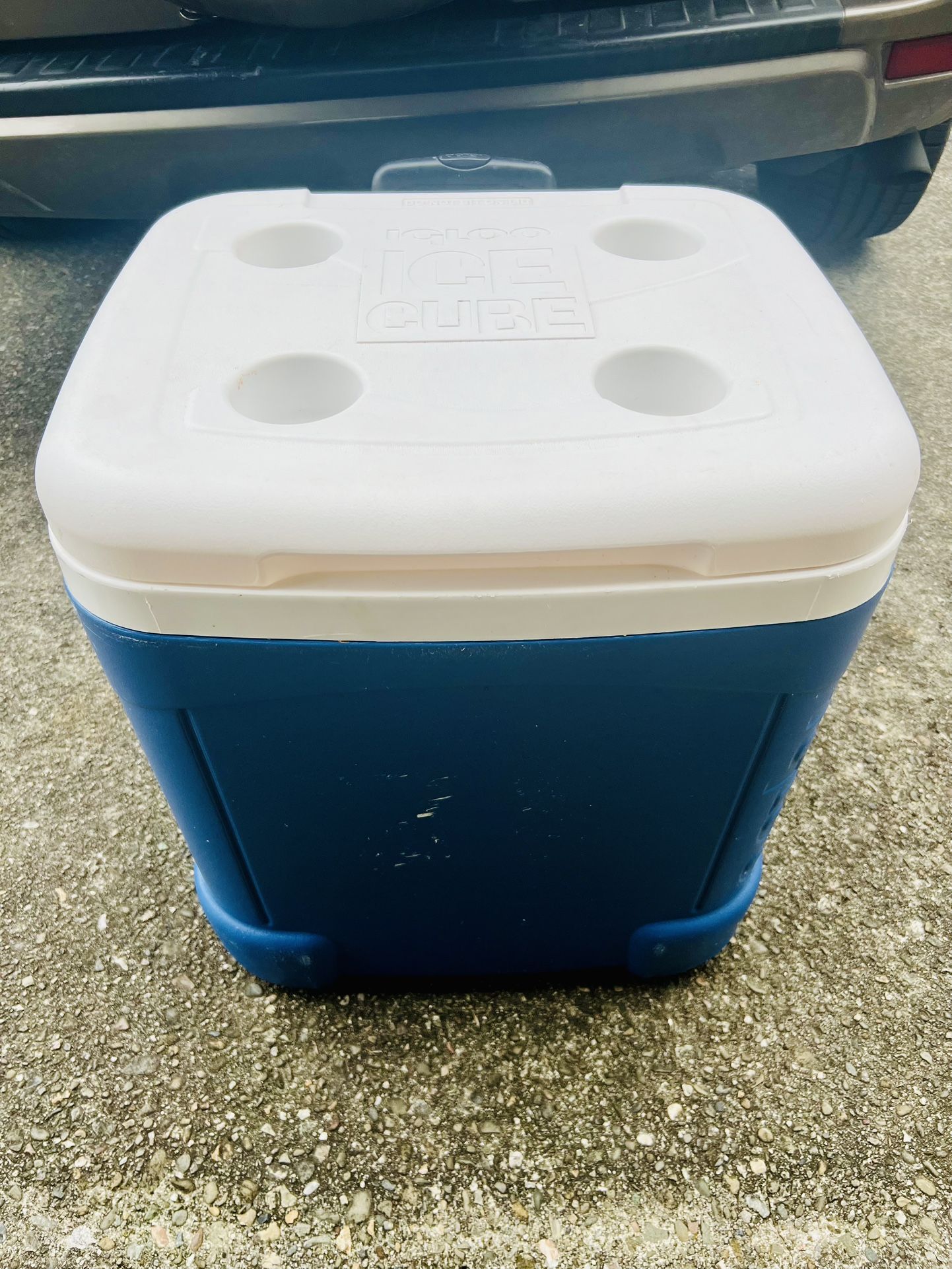 IGLOO 60 qt Wheeled Cooler