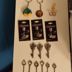 Key Pendants Assorted Charms And Keychain Lot 