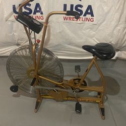 Schwinn Airdyne Ergometer AD2 Exercise Bicylce 