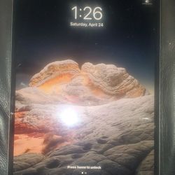 ☆☆THE APPLE IPAD PRO 2☆☆ 256GB/10.5"