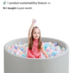 Ball Pit 20 Dollars 