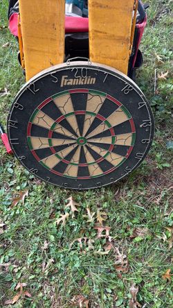 Professional dart board