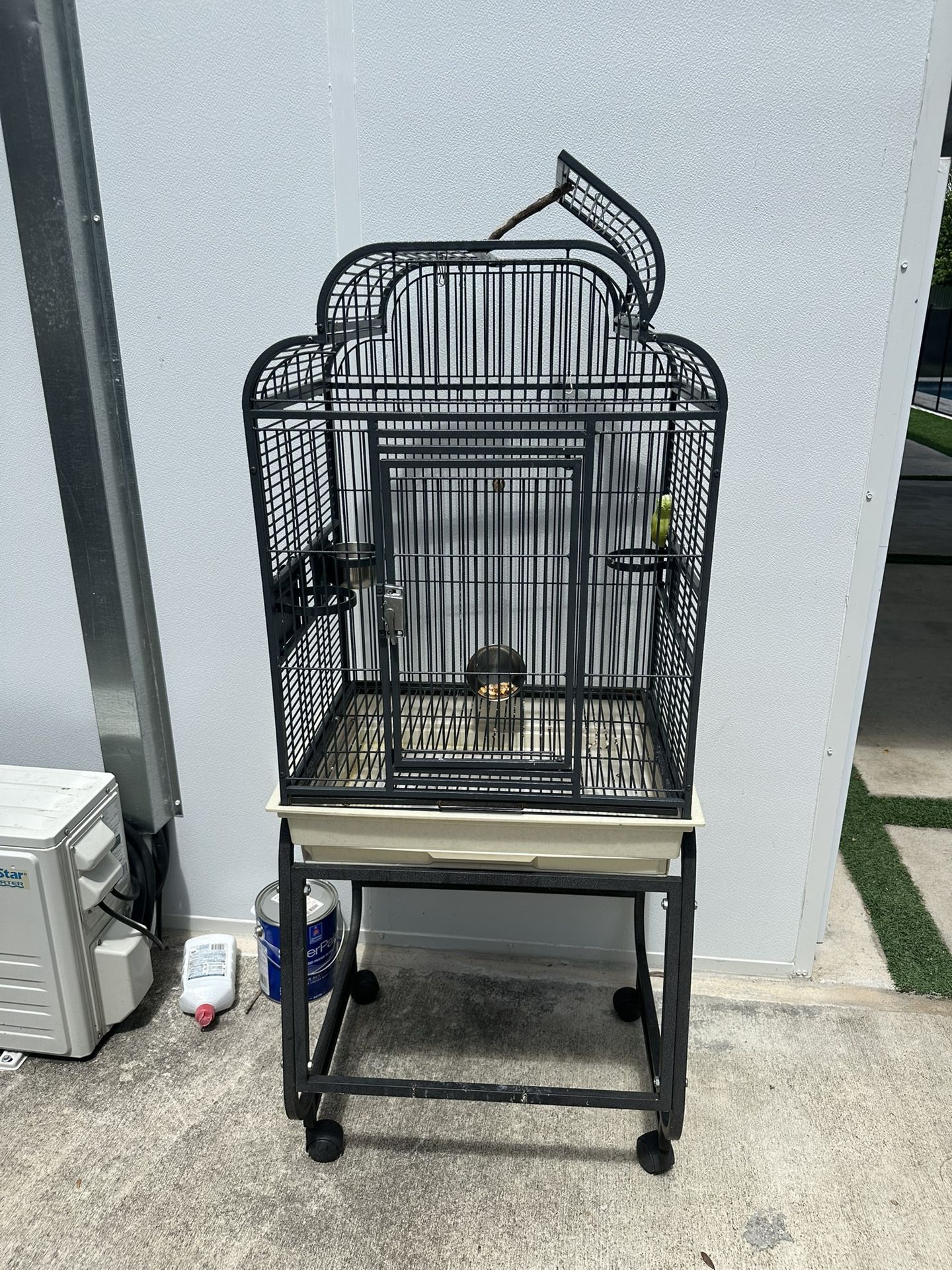 Jaula—cage