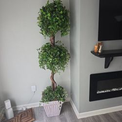 Synthetic Plant