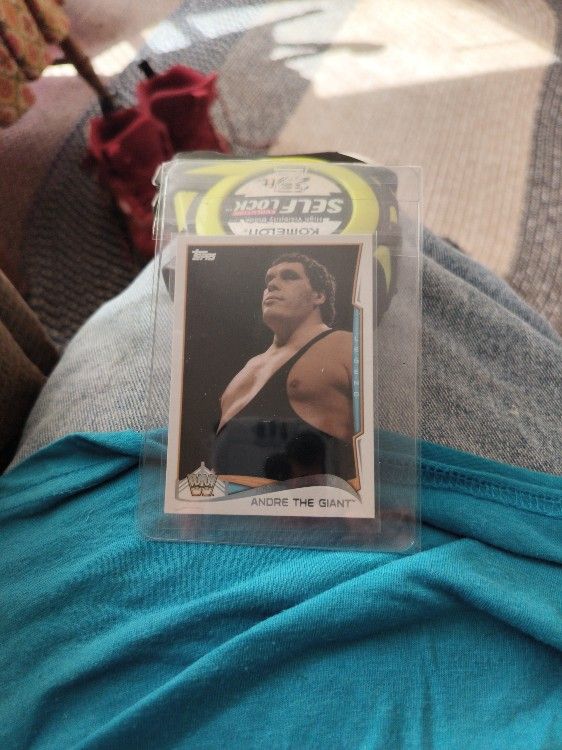 ANDRE THE GIANT CARD TOPPS
