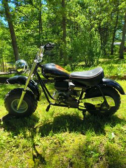 Baja Warrior