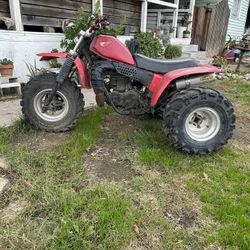 1981 Honda 250r 3wheeler