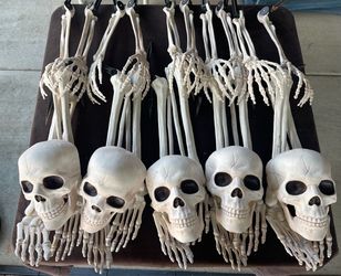 Halloween Skeletons