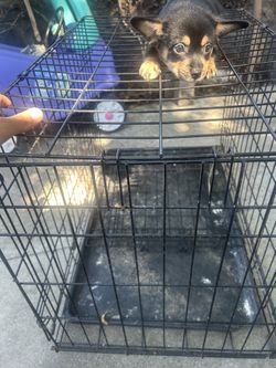 Dog cage