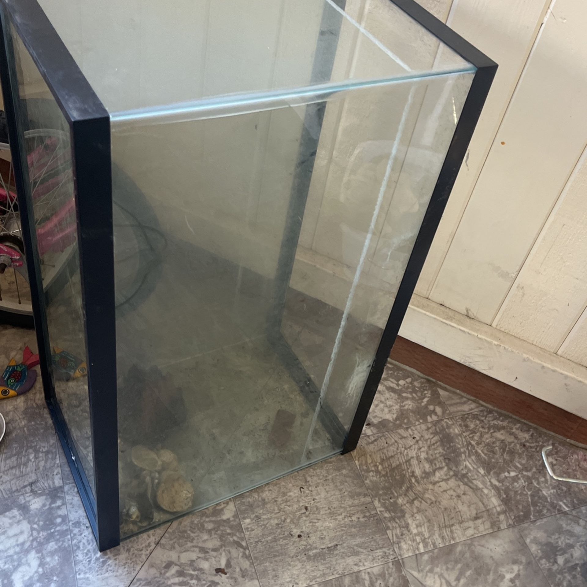 Fish Tank