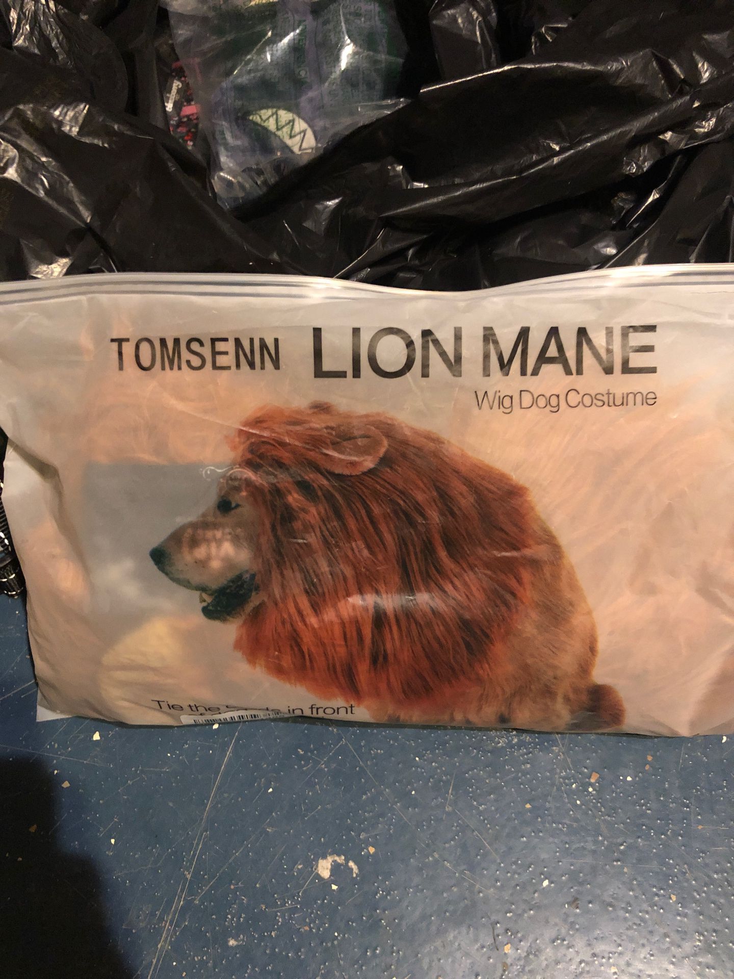 Dog lion mane