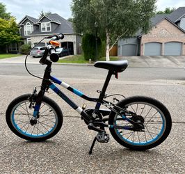 16” Guardian Kids Bike