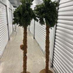 Christmas Light Up Palm Trees