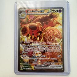 Pokemon 2024 Stellar Crown Dachsbun ex Special Illustration Rare #169/142