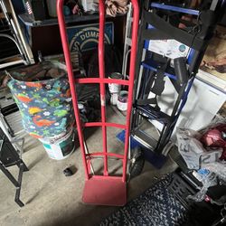 Moving Dolly’s