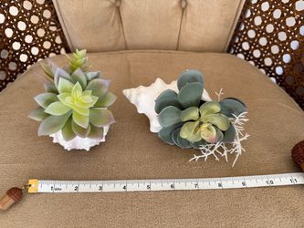 Faux Succulent Arrangements in Seashells – Set of 2
