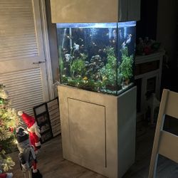 30 Gallon Fish tank 