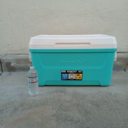 Igloo Cooler 
