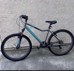 Women’s Schwinn bike