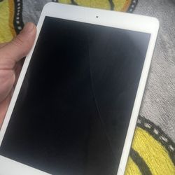 iPad  2 Mini