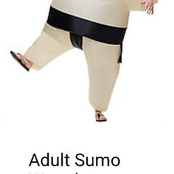 Sumo Costume 