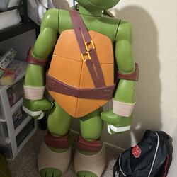 Ninja Turtle Toy Storage 