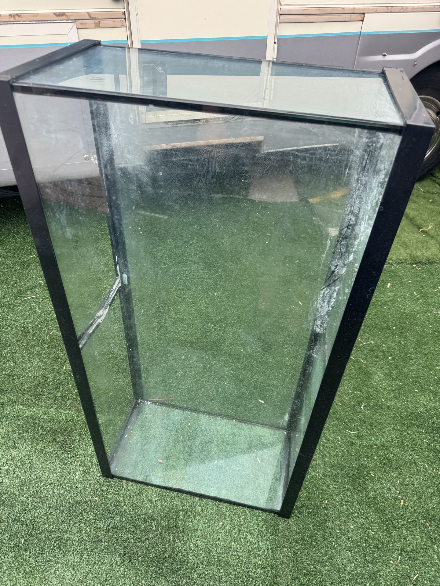 Fish Tank 