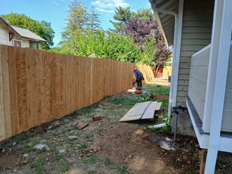 Cedar And Much More