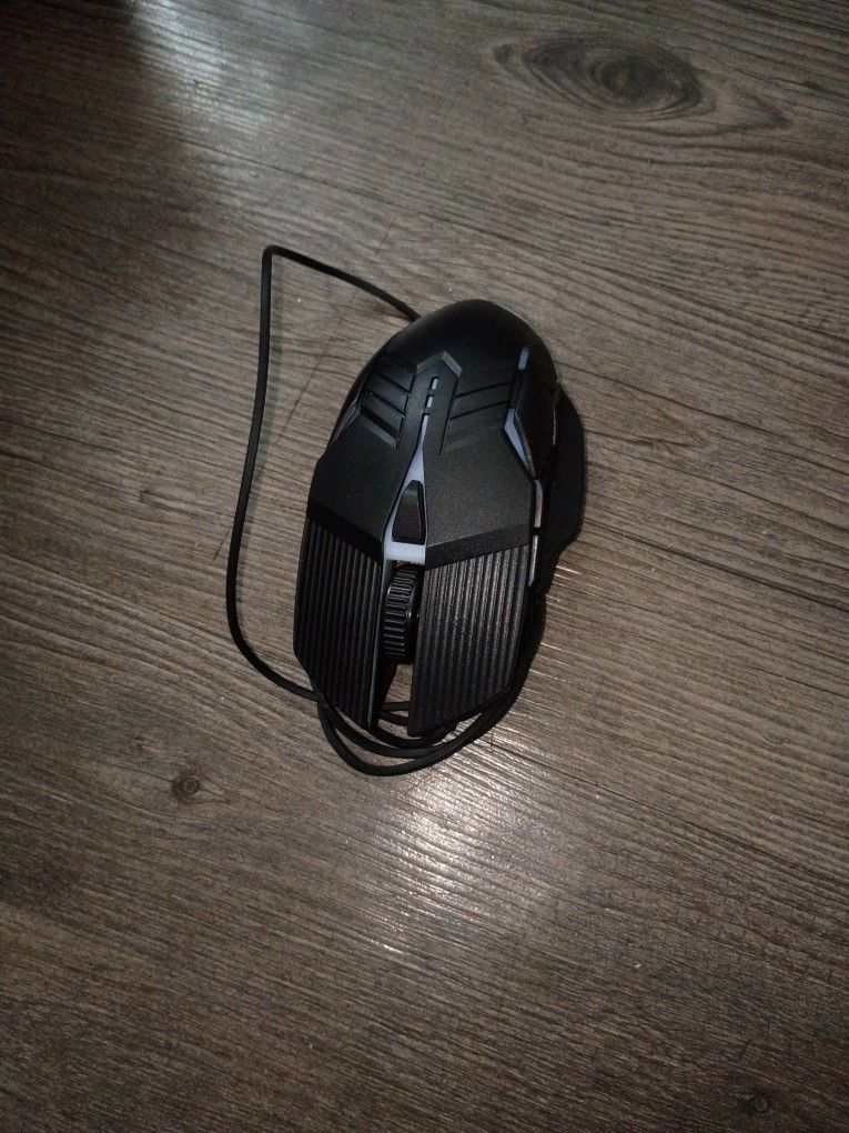 Mouse