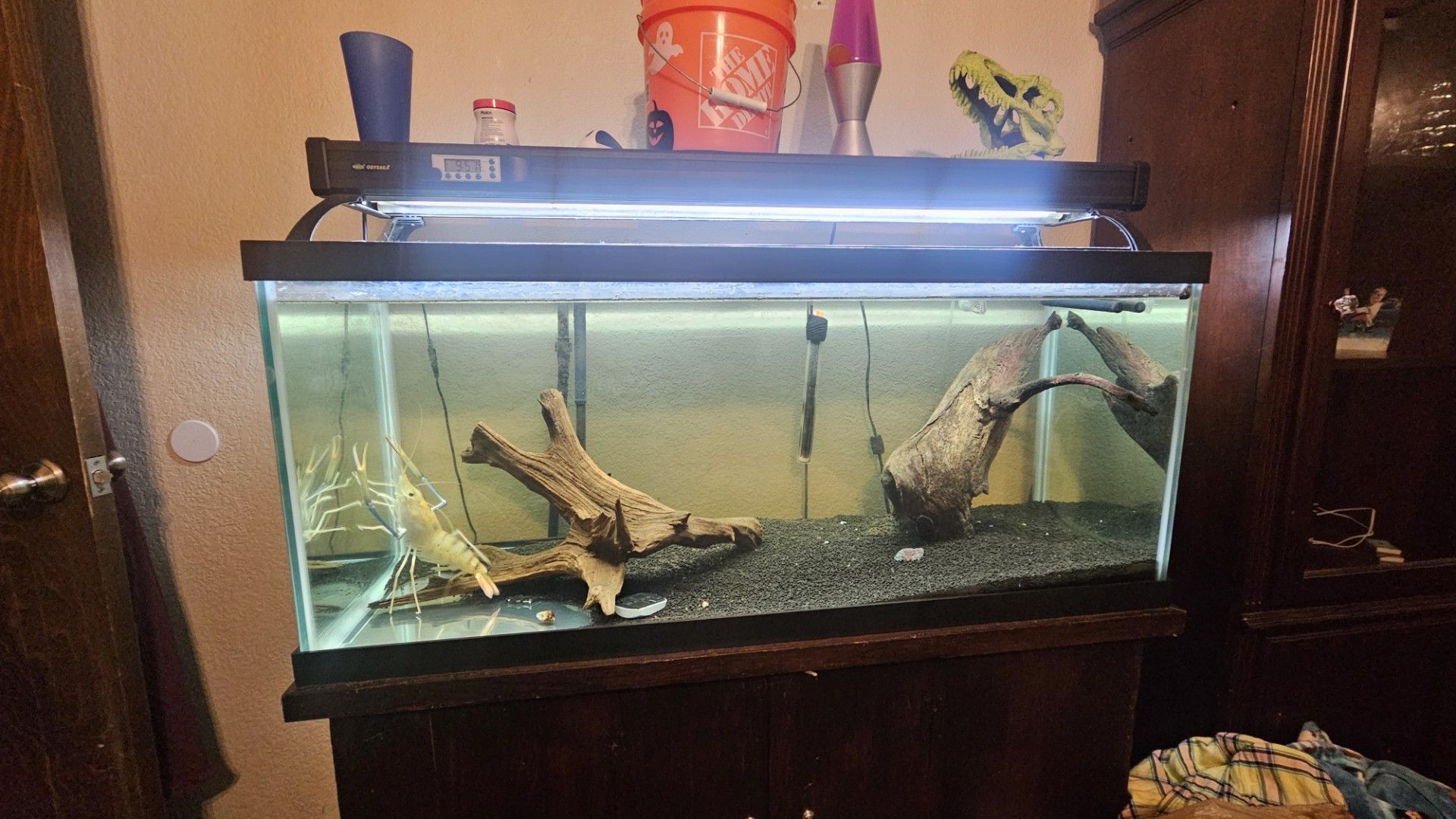 75 Gal aquarium