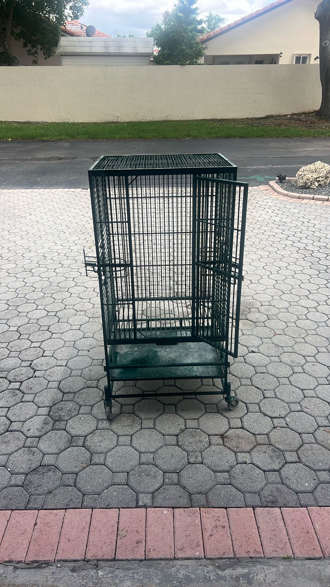 Bird Cage