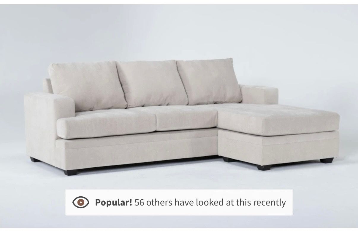 Living Spaces Couch W/ Pull Out Bed