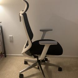 Office Chair + Free Desk