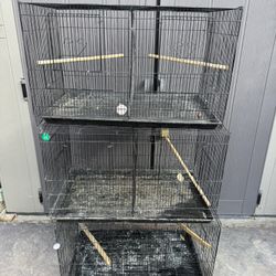Bird Cages 