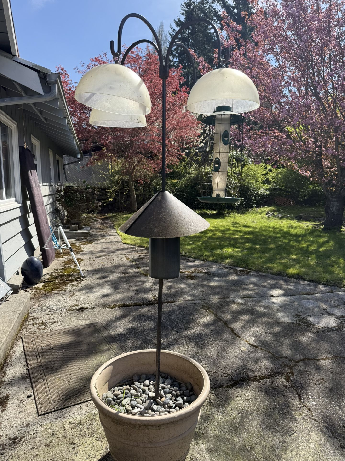Bird Feeder