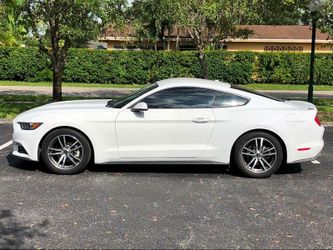 2016 ford mustang ecoboost!!!!
