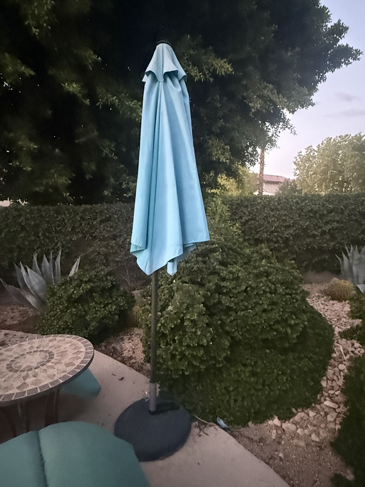 Umbrella