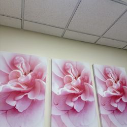 3 Flower Wall portraits 