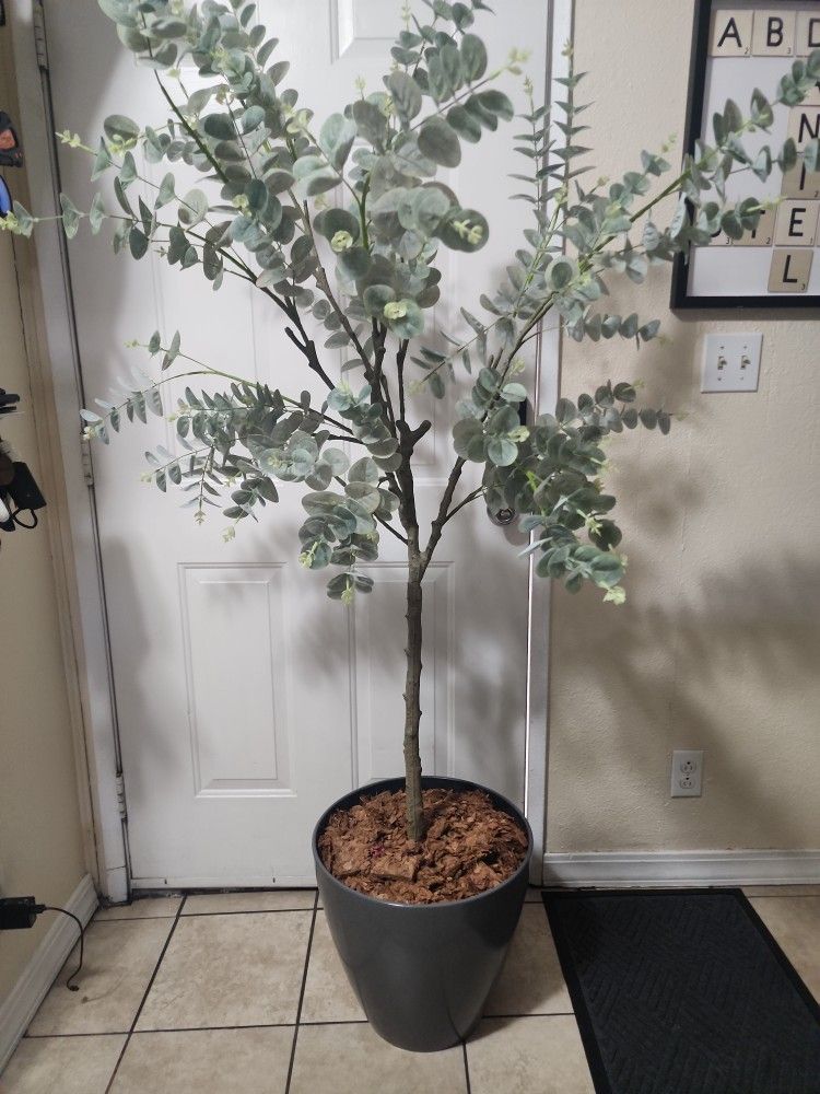 Artificial Eucalyptus Tree 5ft Tall