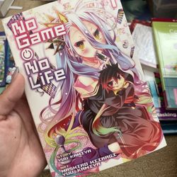 No game no life Vol 1 